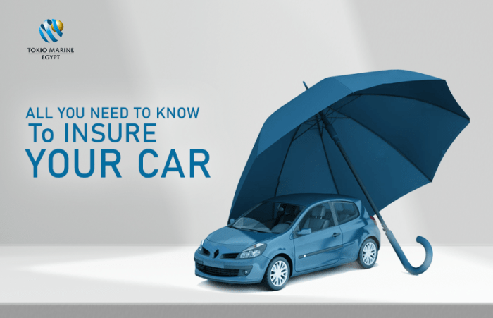 Car insurance excess insure explained Insure my car in united states