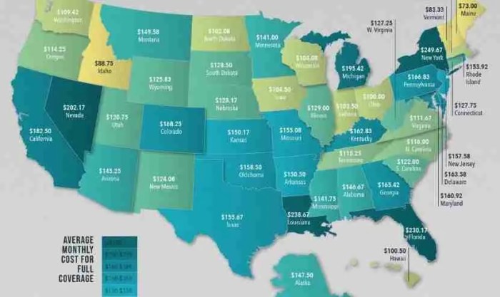 Howmuch visualistan visualizing Car insurance rates comparison in united states