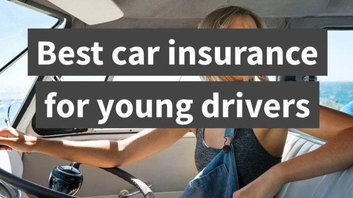 Drivers cheapest Car insurance for young drive in united statesrs