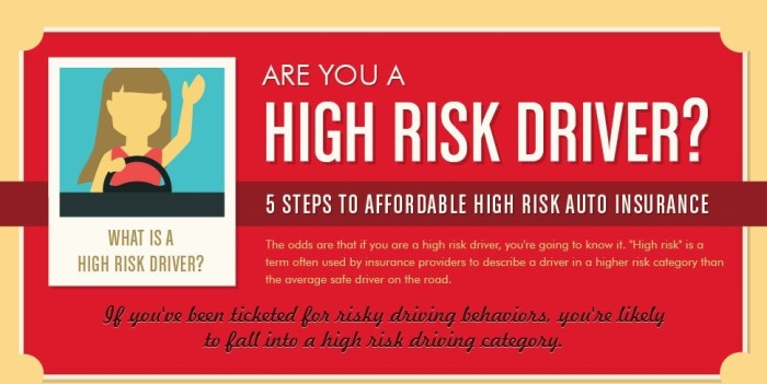 Insurance car cheap drivers risk high Insurance car cheap drivers risk high